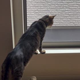 ☆この時期☆の画像