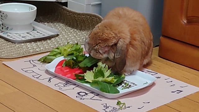 遅くなりましたが参加します！①の記事動画