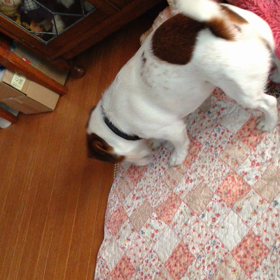 あたちのhouseの前なんですけど…の画像