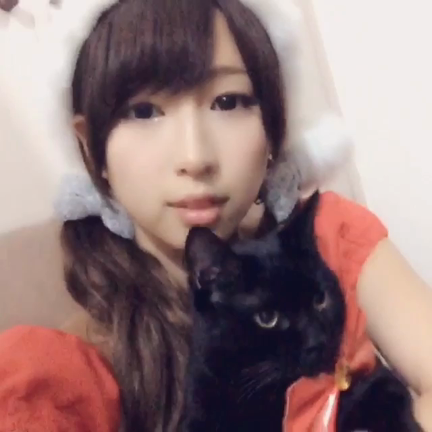 Merry Xmas Special ‼︎の記事動画