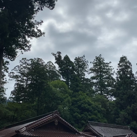 初蝉の声の画像