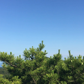 飲み物を楽しもの画像