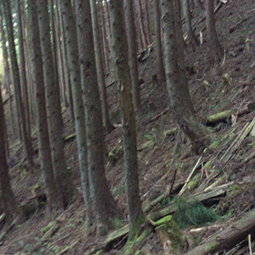 山の画像