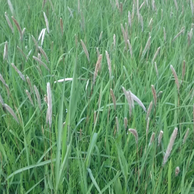 なんとなく…の画像