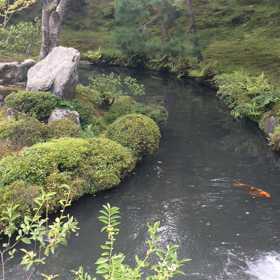 天龍寺のお庭(*^^*)の画像