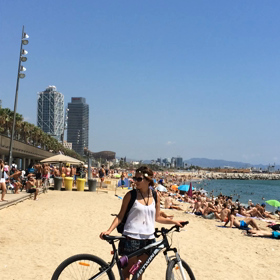 地中海動画の画像