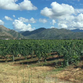 ボスニアヘルツェゴビナ〜動画編の画像