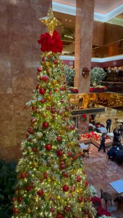 ニューヨークでクリスマス　6の記事動画