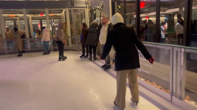 ニューヨークでクリスマス　6の記事動画