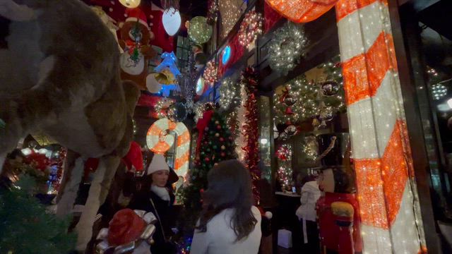 ニューヨークでクリスマス　７の記事動画