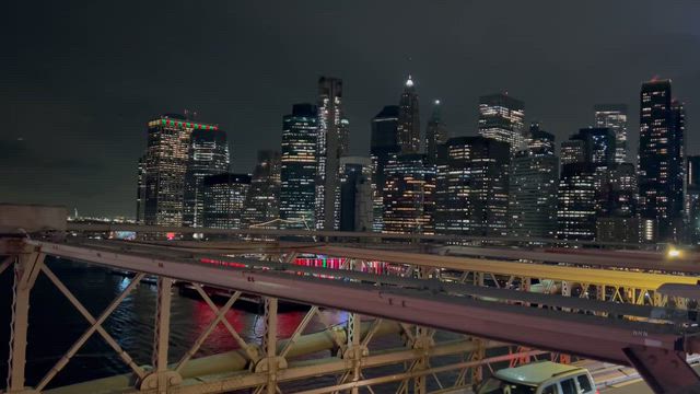 ニューヨークでクリスマス　５の記事動画