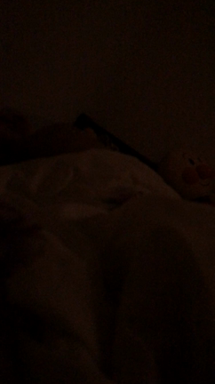 歌う2歳児（音声あり）の記事動画
