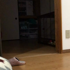 ママの味方ᕦ(ò_óˇ)ᕤの画像