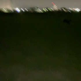 炎上するのかなの画像