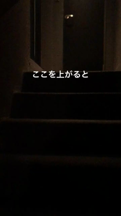 KYOTO！RAKUGO！！の記事動画