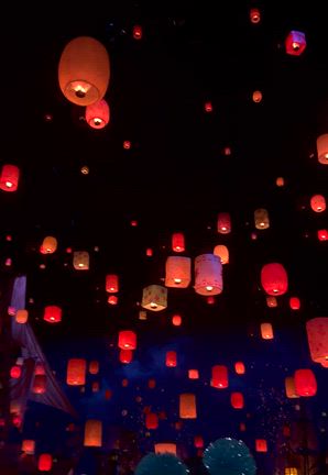 5/3 家族旅行 ディズニーシー♡の記事動画