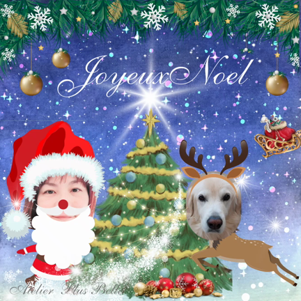 メリークリスマスの記事動画