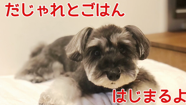 まったりとしあわせな気分♡の記事動画