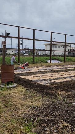 ☆4月19日(日)畑仕事(*´ω｀*)☆の記事動画
