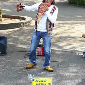 KALLPANDINAの画像