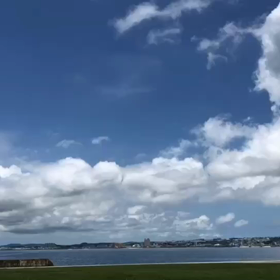 今日も龍が飛んでいるの画像