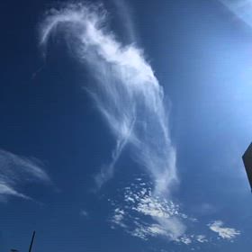 正直に生きるの画像