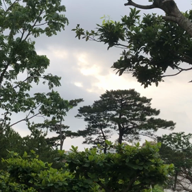 不安を抱かないためにの画像