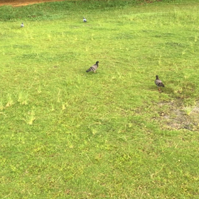 呼吸を忘れずにの画像