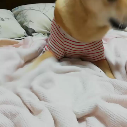 スイッチは突然に...の記事動画