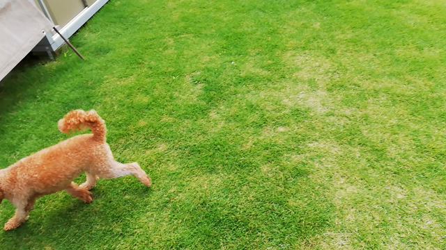 若いから？それとも？！の記事動画