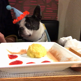 13歳になりました(^.^)の画像