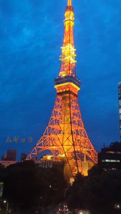 東京の記事動画