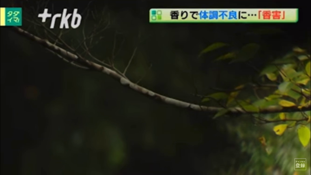 化学物質過敏症の記事動画