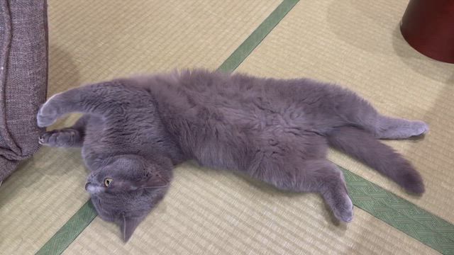 とりわけ暑い日の記事動画