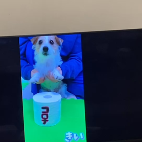 かーちゃんが……の画像