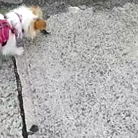 久しぶりのブログの画像