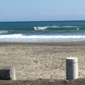 今日は静波の画像