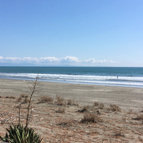 今日の鹿島の画像
