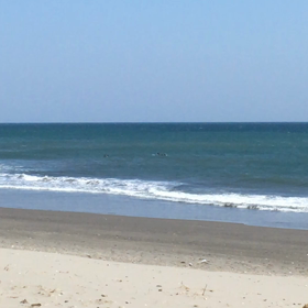 今日の鹿島の画像