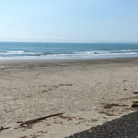 今日の鹿島の画像