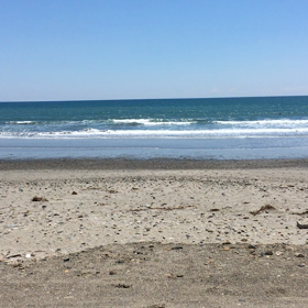 本日は片浜の画像