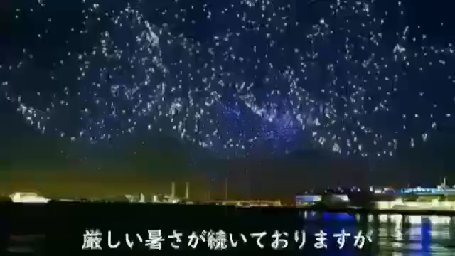 スイカの記事動画