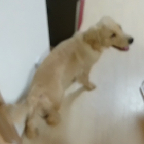 練習「渡して♪」の画像