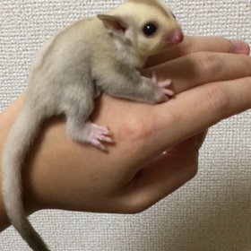 ♡♡♡キューン♡♡♡の画像