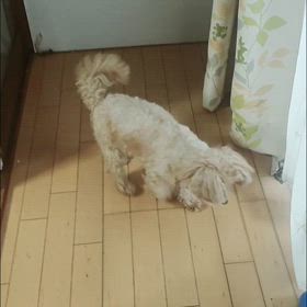 飽きたの画像