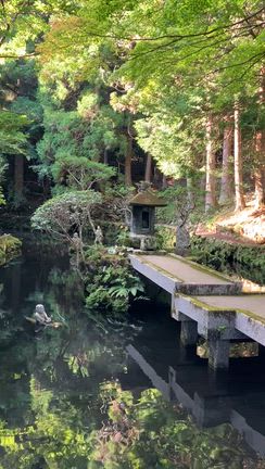 曹洞宗龍虎山長安寺　そうとうしゅう りゅうこざん ちょうあんじの記事動画