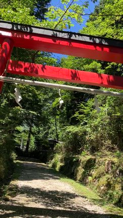 公時神社　きんときじんじゃの記事動画