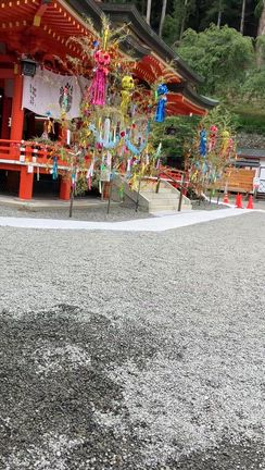 金櫻神社　かなざくらじんじゃの記事動画