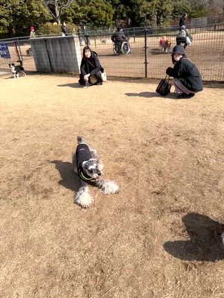 昭和記念公園への記事動画