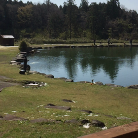2020/04/26の画像